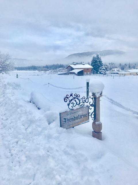Hotel Abendblume (Adults Only) Leavenworth Esterno foto